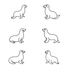 Sea lion, sea lion line art, sea lion outline drawing vector illustration, sea lion vector art 