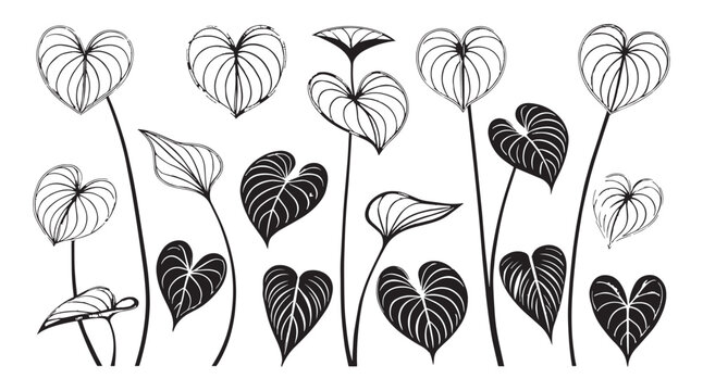 Collection of stylized heart shaped leaves with intricate line art patterns and contrasting black and white silhouette