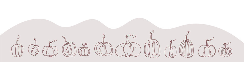 border of png  various pumpkins. Black line drawing. Autumn harvest abstract design. Simple botanical art for Halloween decoration. continuous line vector set illustration on transparent background