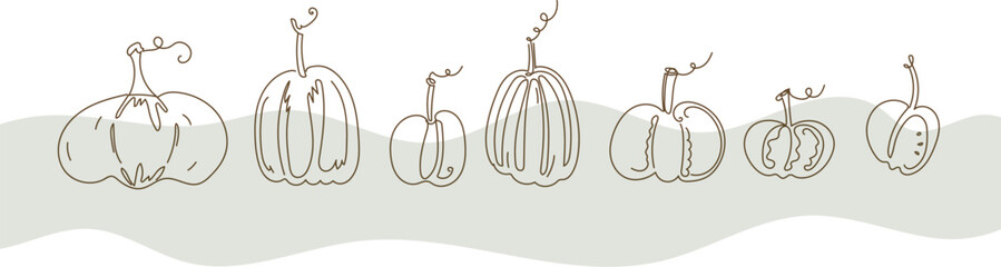 border of png  various pumpkins. Black line drawing. Autumn harvest abstract design. Simple botanical art for Halloween decoration. continuous line vector set illustration on transparent background