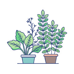 Two potted plants with green leaves and blue outlines on a white background