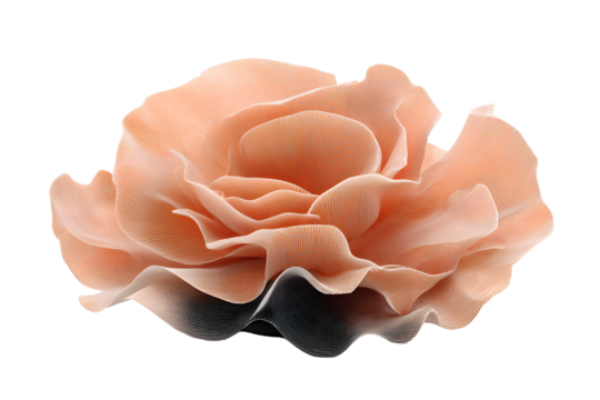 Isolated heart shaped cookie on transparent background