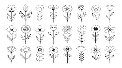 Collection of hand drawn floral elements in a simple outline silhouette style