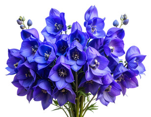 Dark Fantasy Aconitum Bouquet with Mist, isolated on transparent background