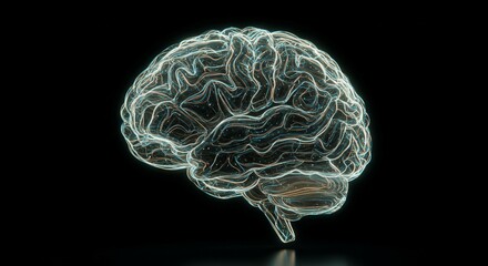 Human Brain Anatomy Detailed 3D Model of Neurological System