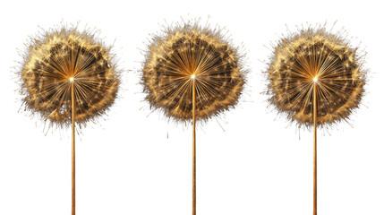 Obraz premium Three Golden Fireworks Burst Display for Celebration, Festival, and Holiday Event Isolated on White Background