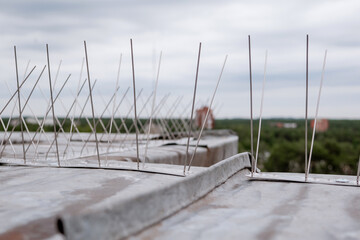 Close-up view of stainless steel bird deterrent spikes installed along a rooftop edge to prevent...
