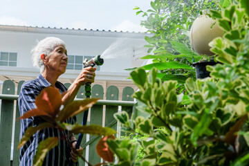 Senior asian woman watering the garden with hose in home garden.