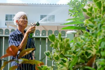 Senior asian woman watering the garden with hose in home garden.
