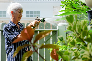 Senior asian woman watering the garden with hose in home garden.