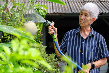 Senior asian woman watering the garden with hose in home garden.