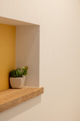 サボテン 多肉植物 観葉植物 インテリア