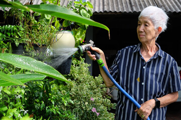 Senior asian woman watering the garden with hose in home garden.