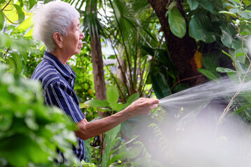 Senior asian woman watering the garden with hose in home garden.