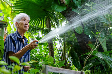 Senior asian woman watering the garden with hose in home garden.
