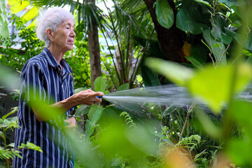 Senior asian woman watering the garden with hose in home garden.