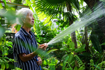 Senior asian woman watering the garden with hose in home garden.