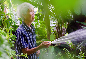 Senior asian woman watering the garden with hose in home garden.