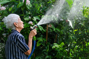 Senior asian woman watering the garden with hose in home garden.