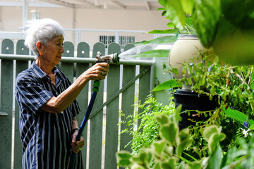 Senior asian woman watering the garden with hose in home garden.