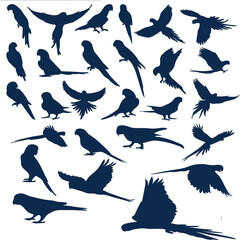 parrot icon set in sitting , flying open feathers different style silhouettes pack