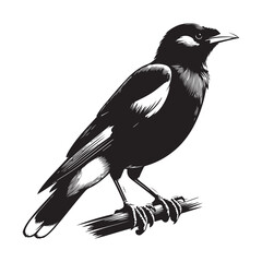 crow on a branch