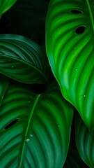 abstract green background