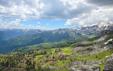 mountain landscape in summer