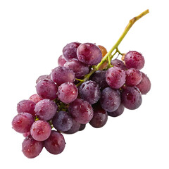 Fototapeta premium A bunch of succulent purple concord grapes ready for eating isolated on a transparent background png