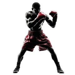 Dynamic Boxer's Stance: A Portrait of Strength and Determination in the World of Combat Sports