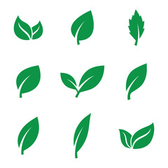 Green leaves icons set isolated on white background vector illustration. Vegan, tree, plant, fresh, energy and healthy nutrition concept. EPS 10