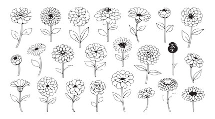 Collection of detailed hand drawn flower illustrations in a classic outline silhouette style