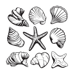Set of different black sea shells and starfish vector illustration