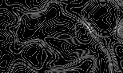 Seamless pattern inspired by physical geography and terrain relief. Abstract black and white topographic map illustration in vector style.