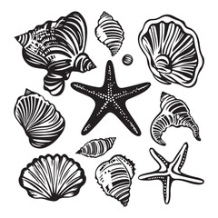 Set of different black sea shells and starfish vector illustration