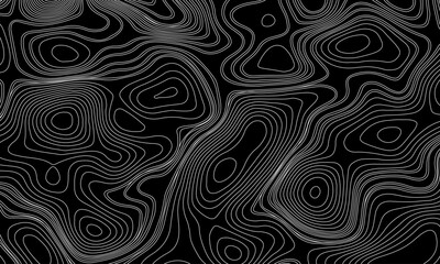 Seamless pattern inspired by physical geography and terrain relief. Abstract black and white topographic map illustration in vector style.