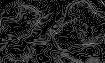 Seamless pattern inspired by physical geography and terrain relief. Abstract black and white topographic map illustration in vector style.