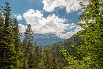 Aerial view over mountains in a forest, close to Zugspitze in Bayern, Germany