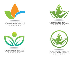 leaf green nature logo and symbol template Vector