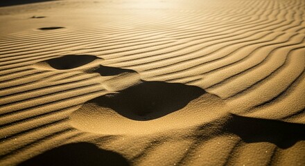 desert landscape.