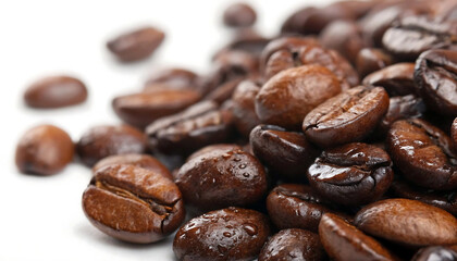 Gloss & Grind Macro Roasted Arabica Beans