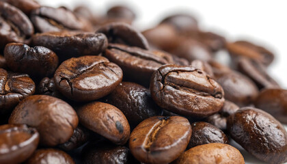 Gloss & Grind Macro Roasted Arabica Beans