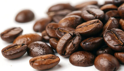 Gloss & Grind Macro Roasted Arabica Beans