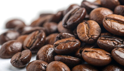 Gloss & Grind Macro Roasted Arabica Beans