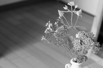 初夏の花,白黒,インテリア,暮らし