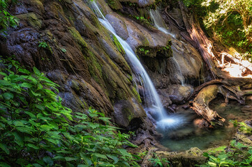 Mexican jungle at Palenque Temple complex, Chiapas region, Mexico.