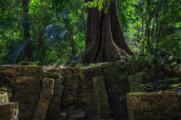 Palenque Archaeological Site, Chiapas Mexico.