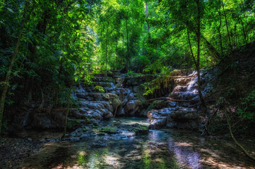 Obraz premium Mexican jungle at Palenque Temple complex, Chiapas region, Mexico.