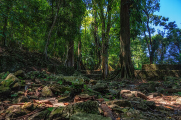 Palenque Archaeological Site, Chiapas Mexico.