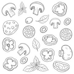 Black and white outline drawing of pizza topping ingredients isolated
